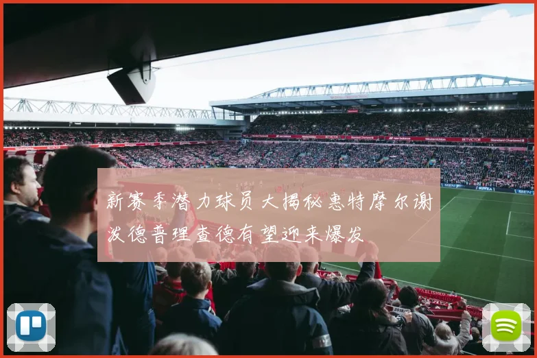 新赛季潜力球员大揭秘惠特摩尔谢泼德普理查德有望迎来爆发