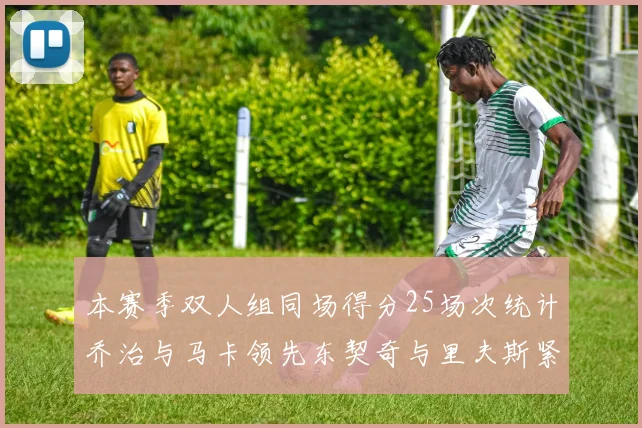 本赛季双人组同场得分25场次统计乔治与马卡领先东契奇与里夫斯紧随其后