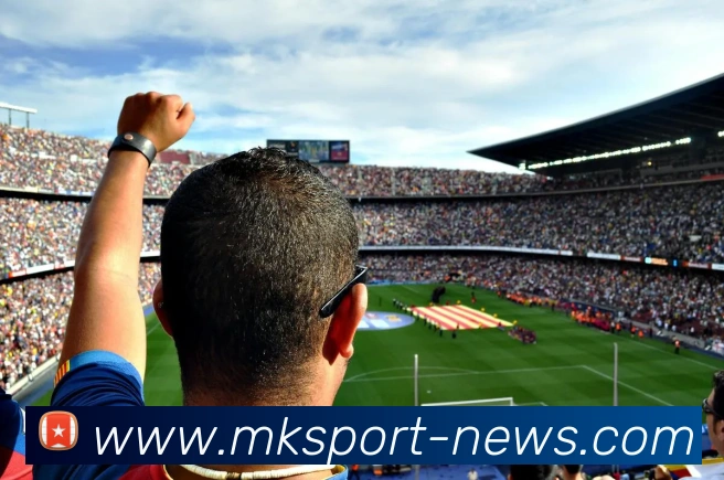 MK体育发展历程